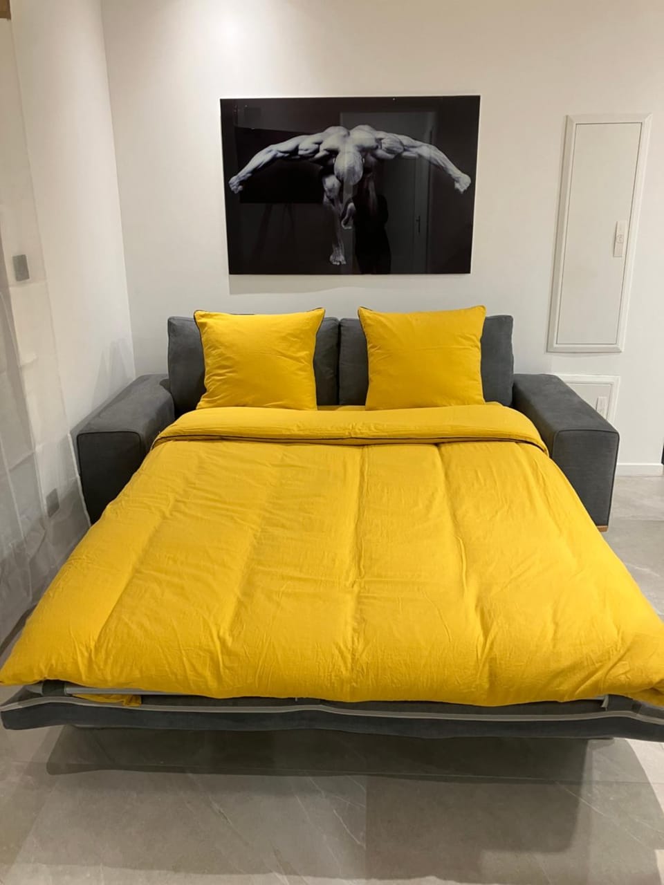 Bed, Living room