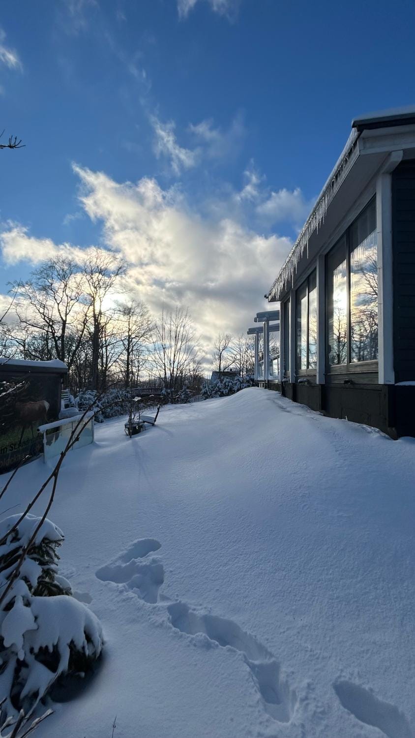 Property building, Winter, Garden