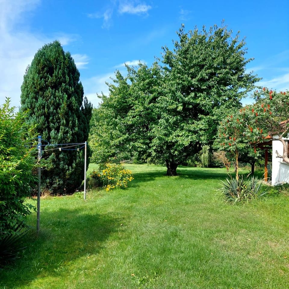 Natural landscape, Garden, Garden view