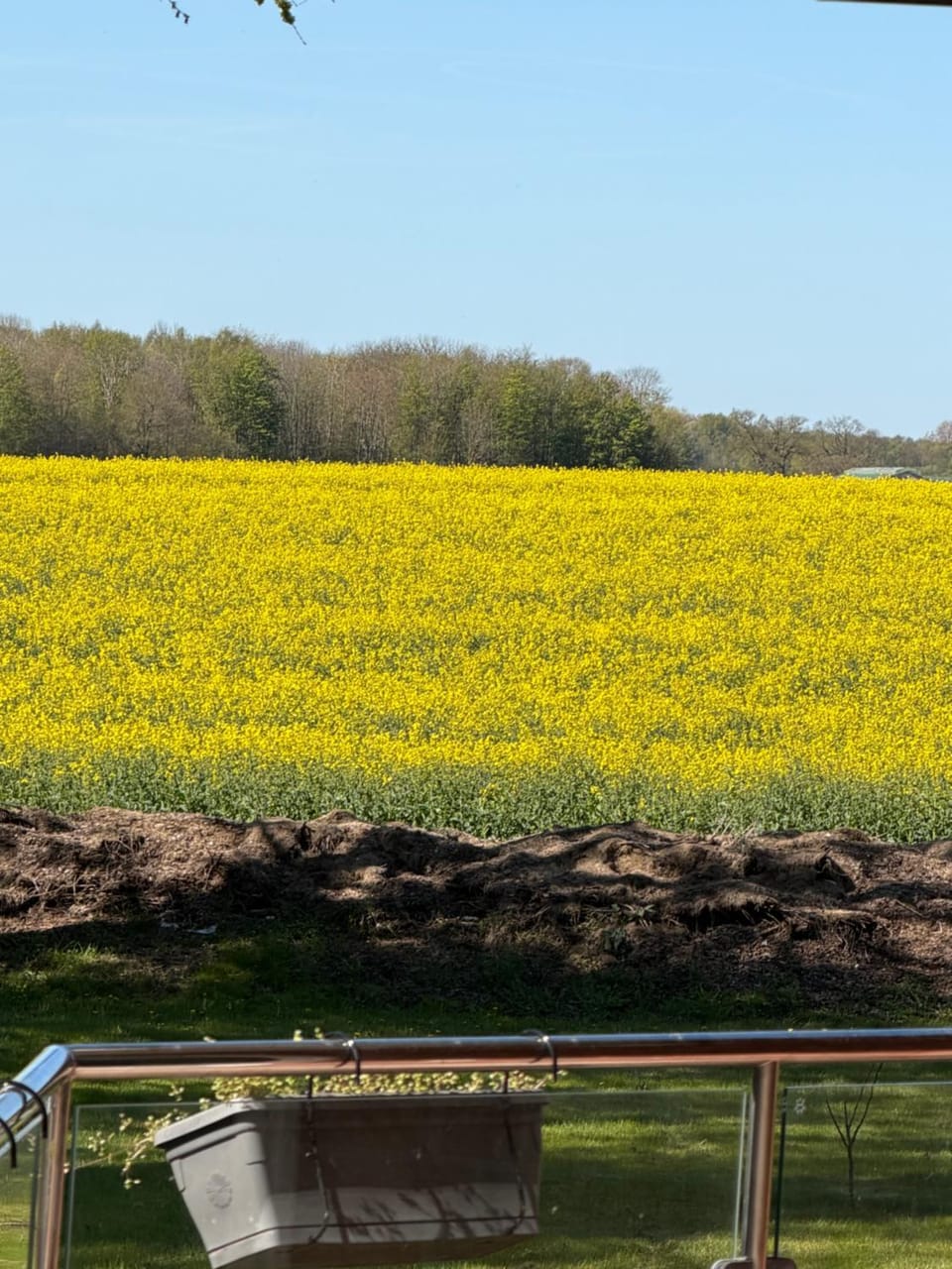 Property building, Spring, Natural landscape, Garden