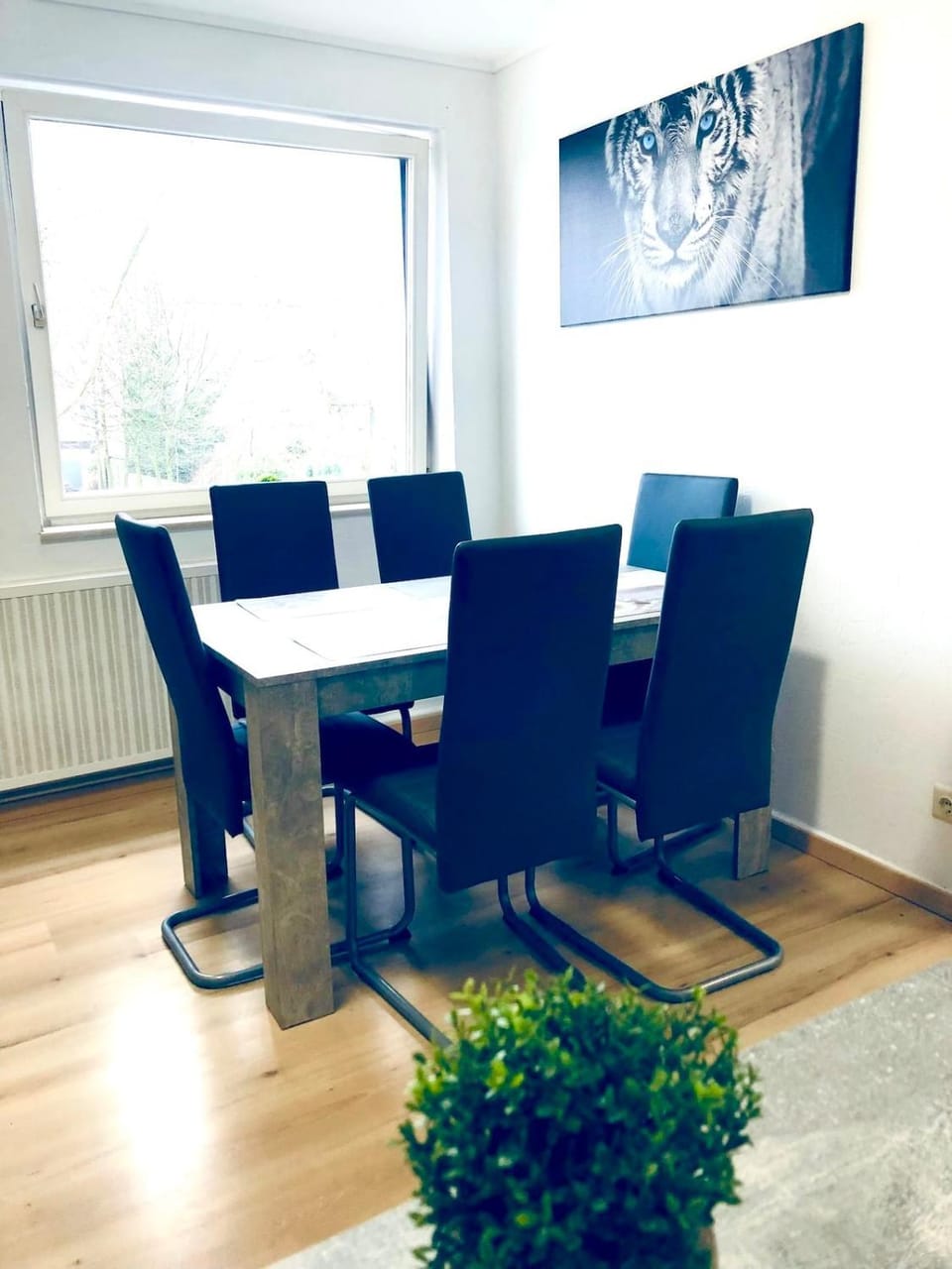 Living room, Dining area