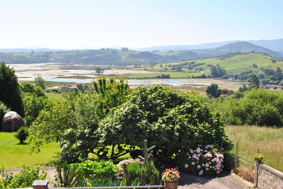 View (from property/room)
