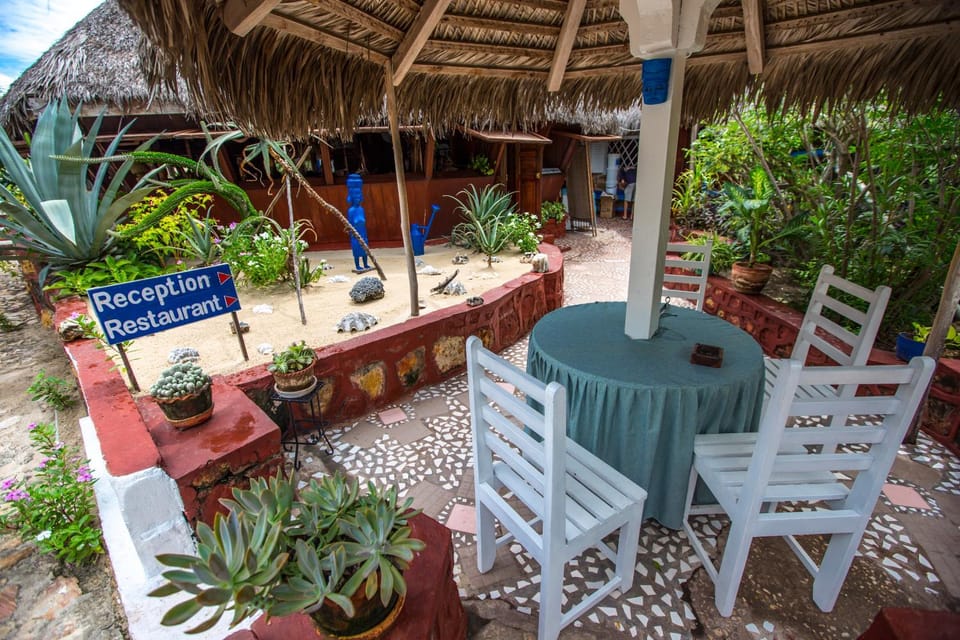 Restaurant/places to eat, Garden view