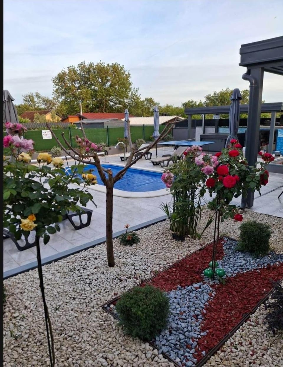 Spring, Day, Summer, Garden, Garden view, Pool view, Swimming pool