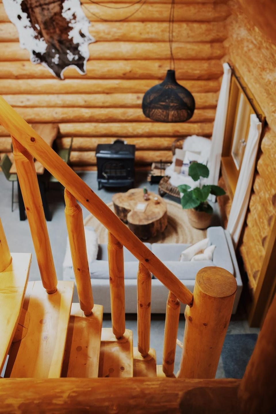 De Stamboom House in South Holland (province)