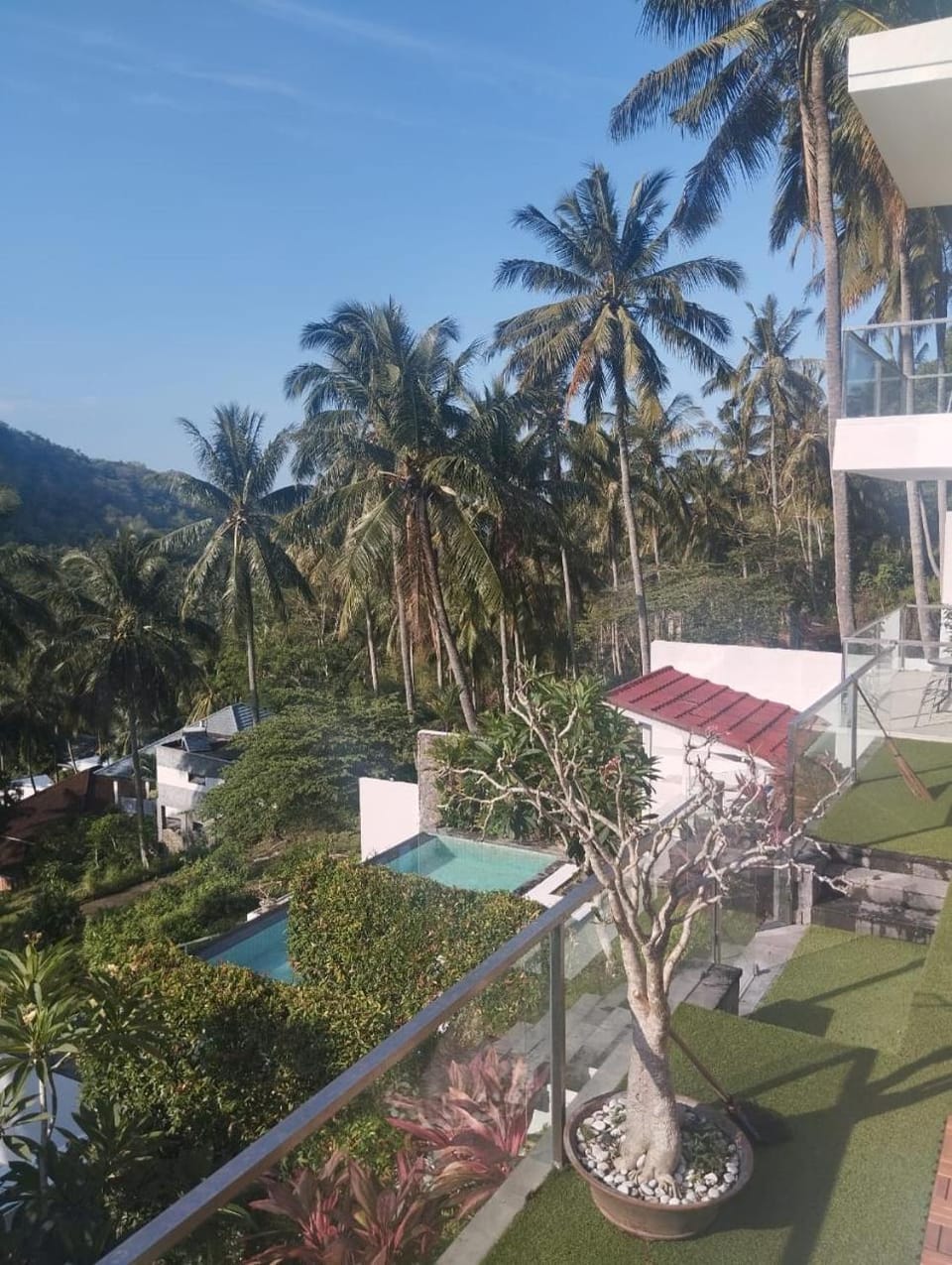Garden, Balcony/Terrace, Mountain view, Pool view