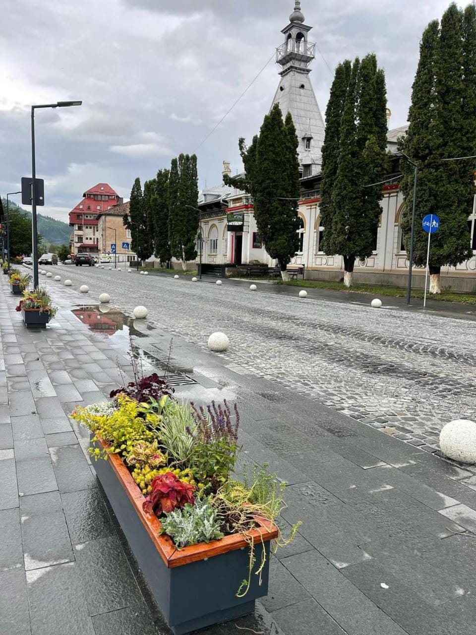 Spring, Day, Neighbourhood, Street view, Location