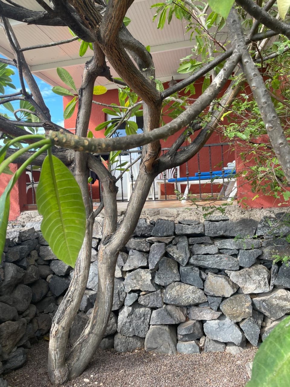 Casa Estela pura tranquilidad House in La Gomera
