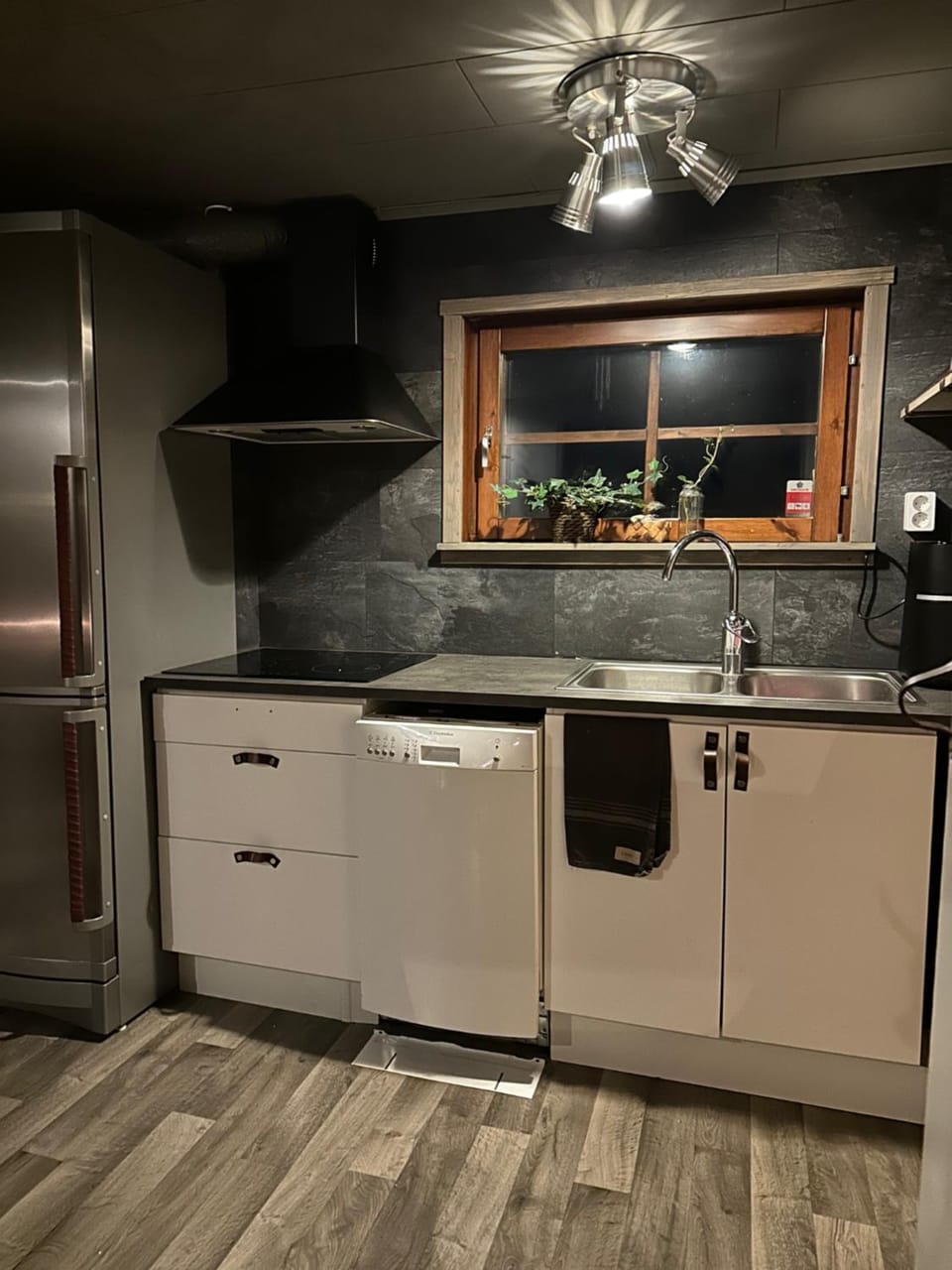 Kitchen or kitchenette, dishwasher, stove