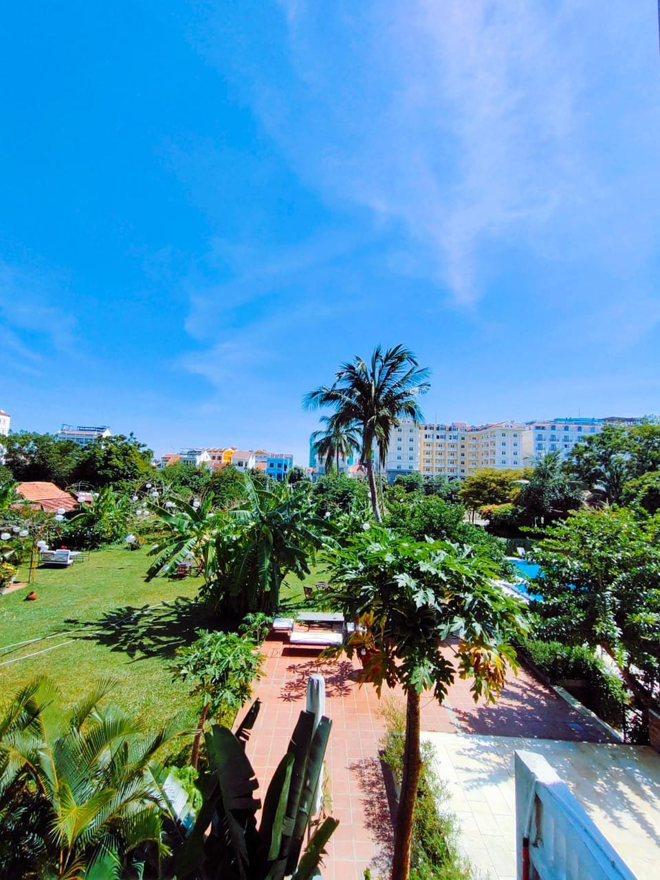 Garden view