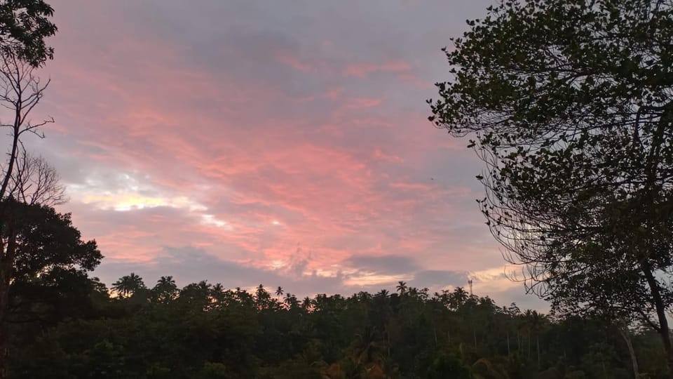 Luxury Peak Villa Bed and Breakfast in Mirissa