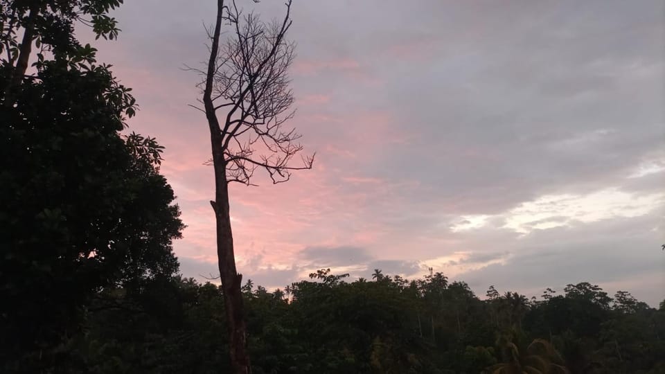 Luxury Peak Villa Bed and Breakfast in Mirissa