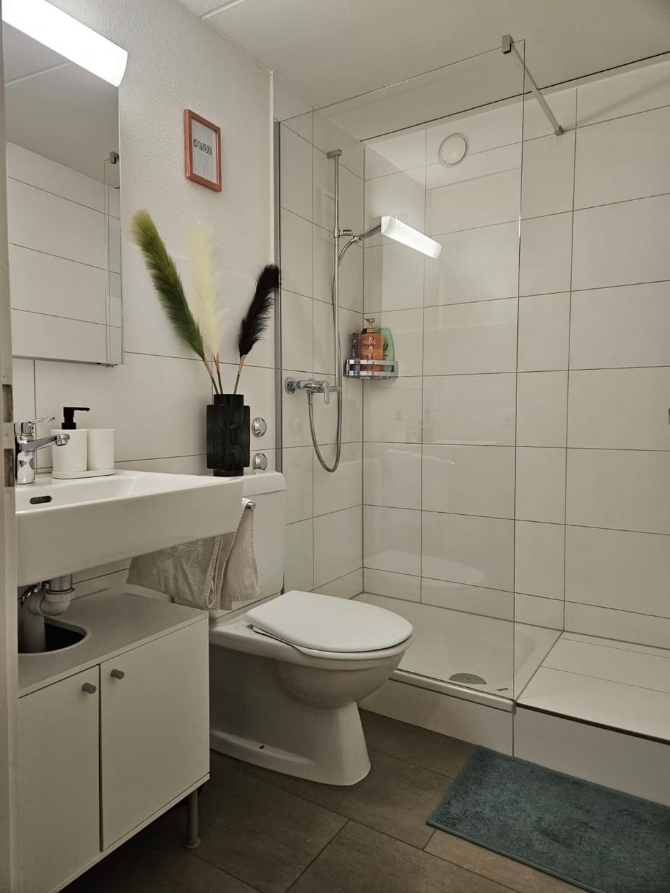 Schöne Wohnung in der Innenstadt Apartment in Lucerne