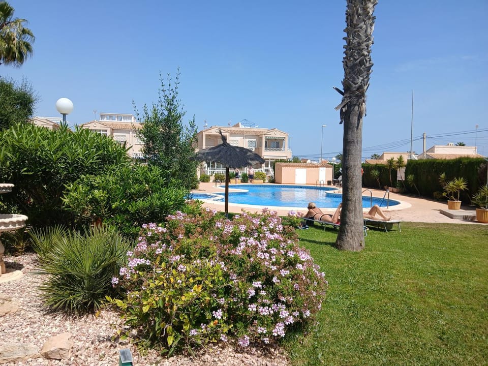 Solarium, pool & views in Playa Flamenca Apartment in Vega Baja del Segura