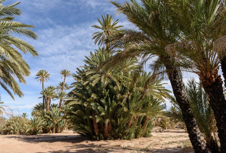 Serenity in La Palmeraie 2BR Apartment Apartment in Marrakesh