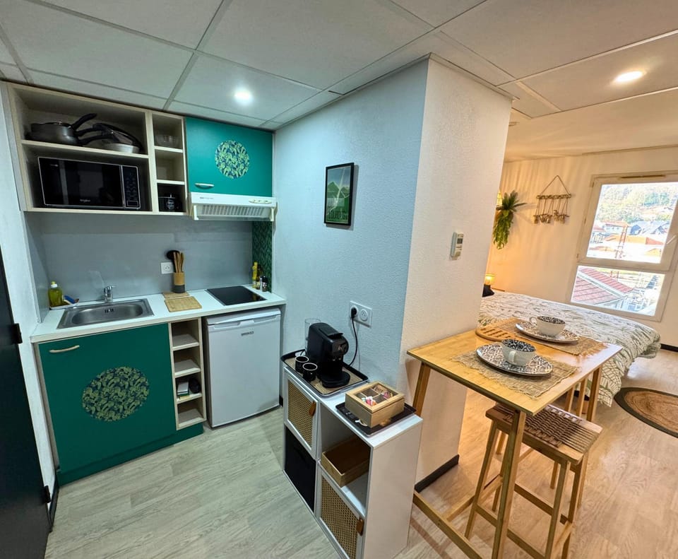 Coffee/tea facilities, Photo of the whole room, Bedroom, stove, kitchen