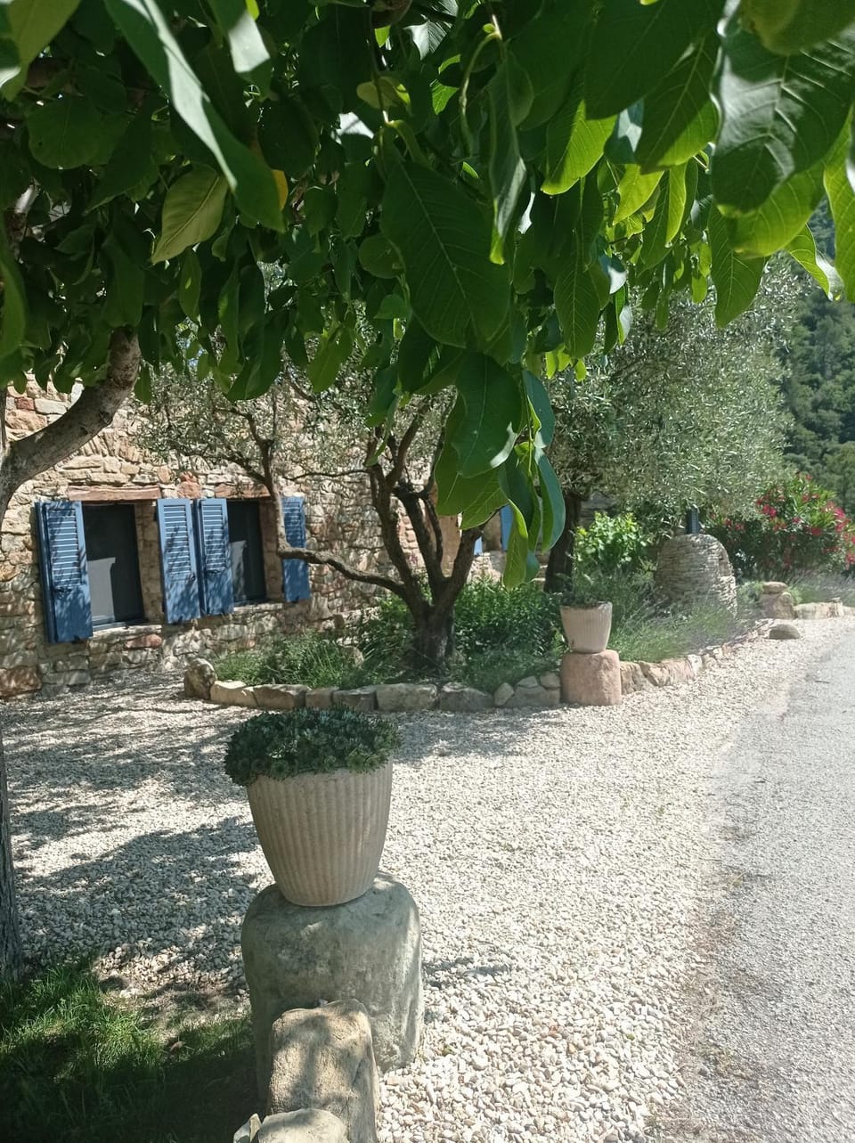 Le Mas des oliviers House in Provence