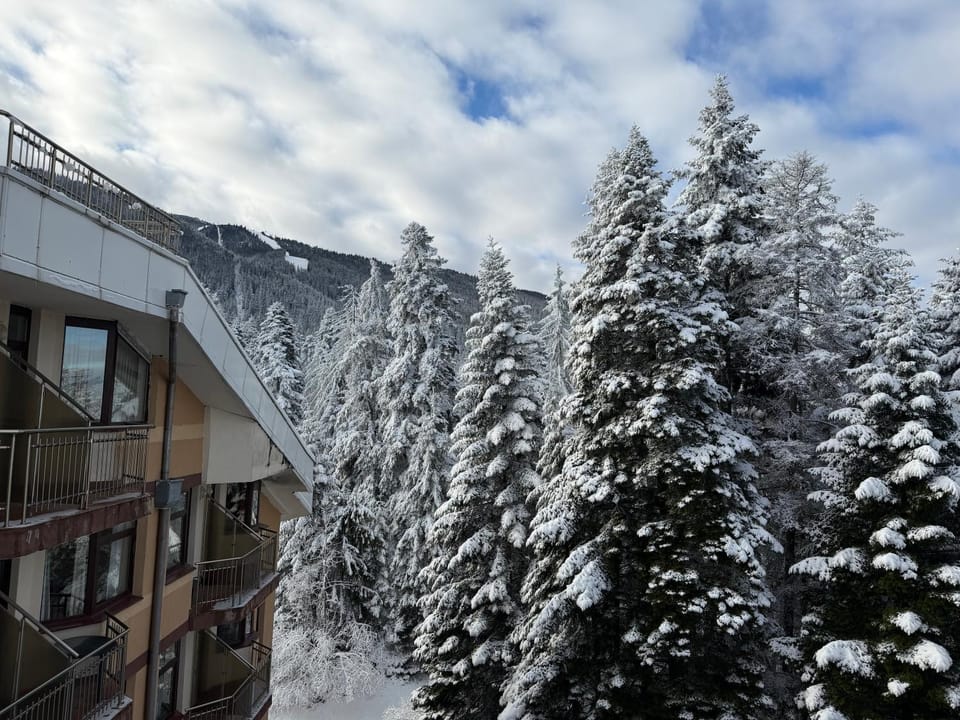 Natural landscape, Winter, Mountain view