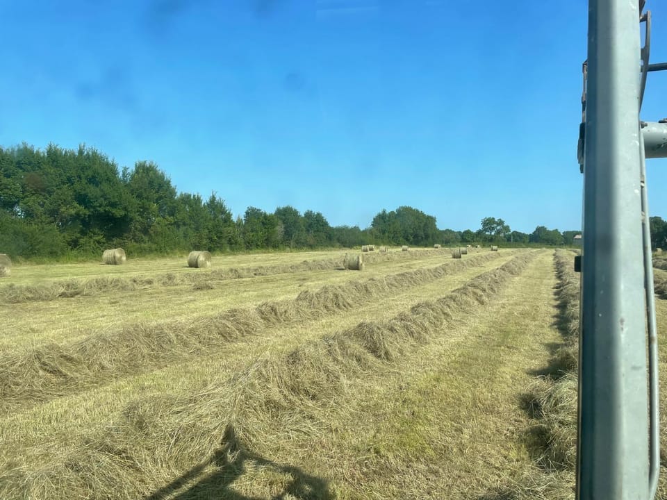 Natural landscape