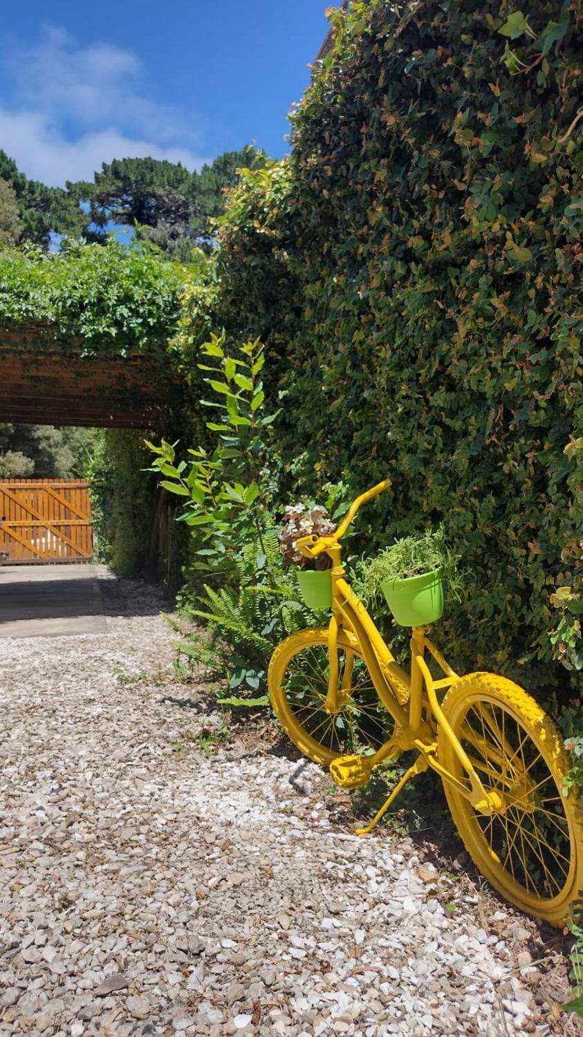Day, Garden, Garden view