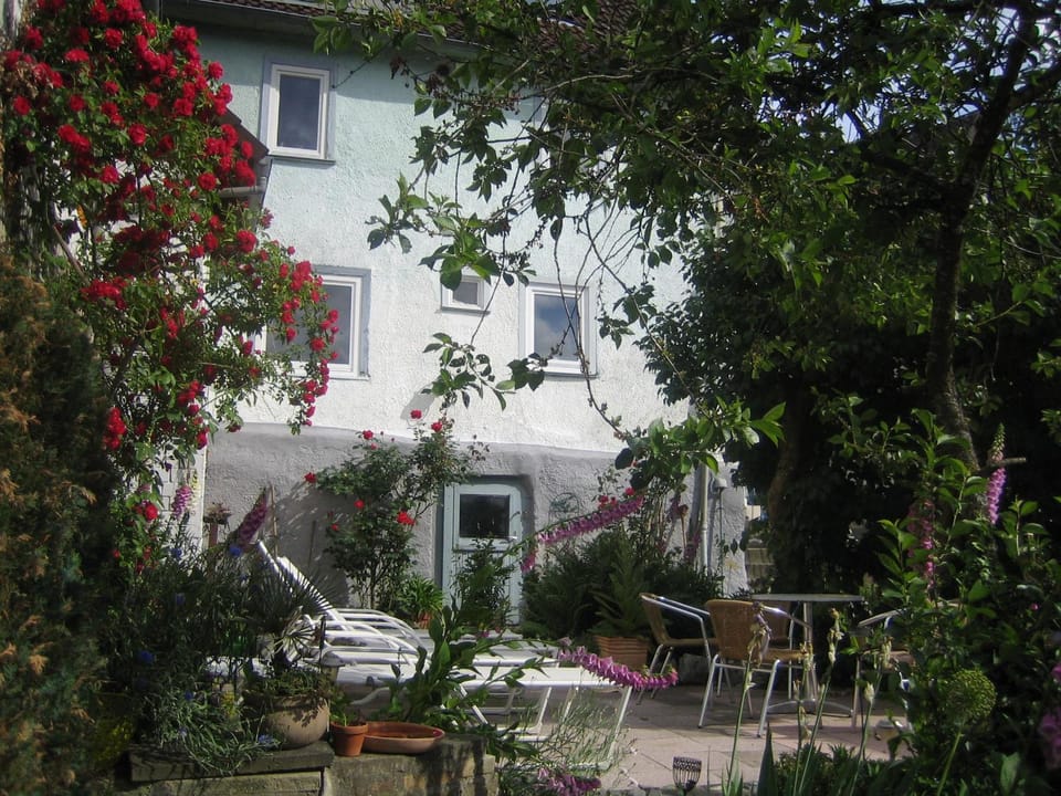 Ferien-Schlossblick Apartment in Hesse