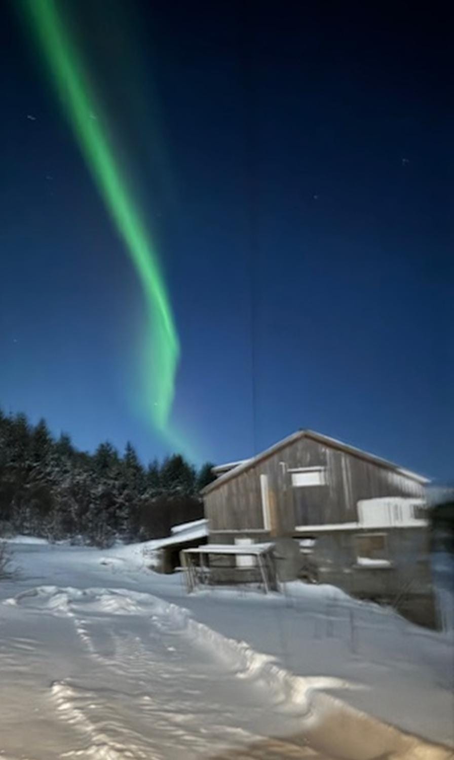 Night, Natural landscape, Winter, View (from property/room)