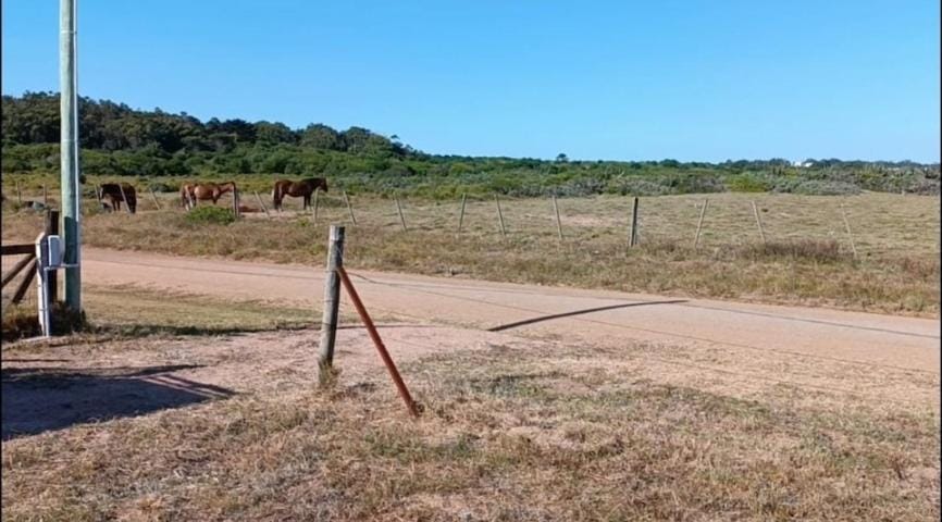 Casa a 50 metros de la playa PuntaNegra House in Maldonado Department, Uruguay