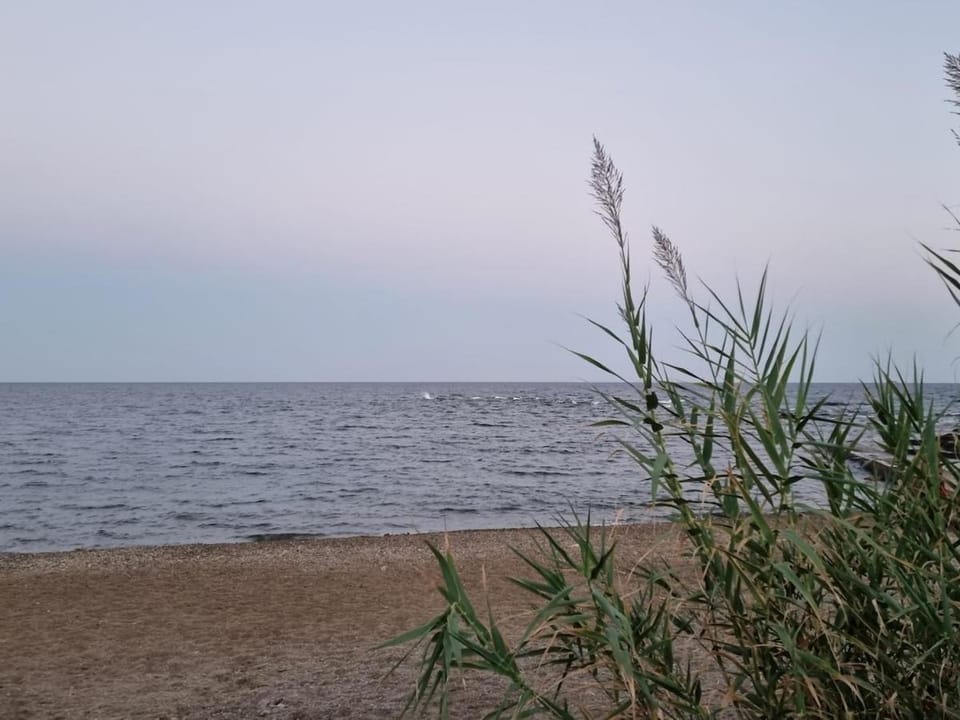 Natural landscape, Beach