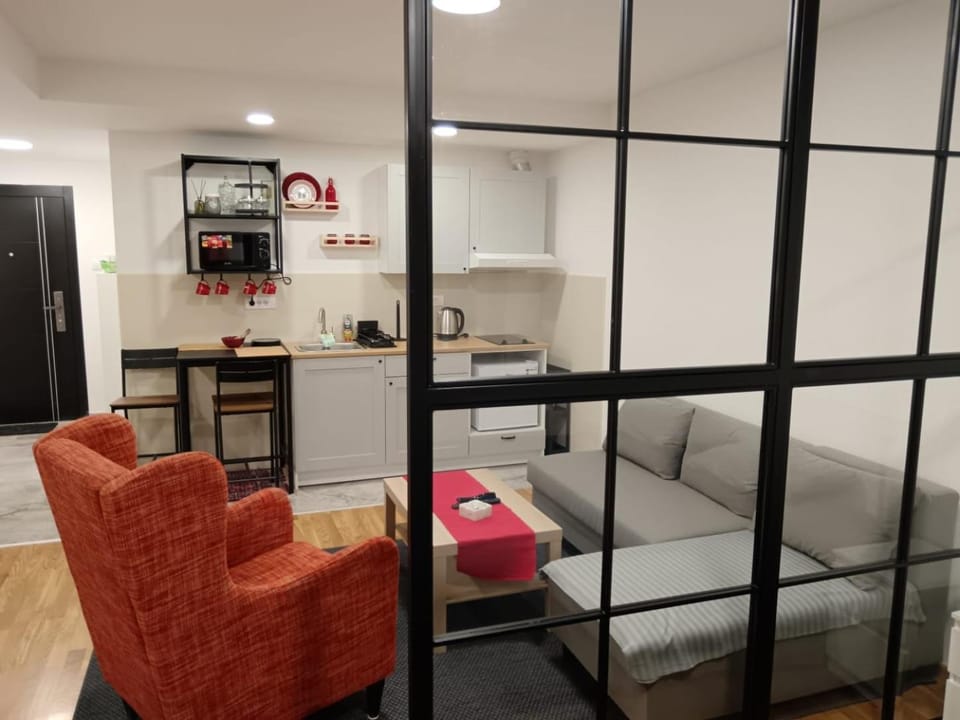 Kitchen or kitchenette, Living room, Photo of the whole room, Seating area, stove