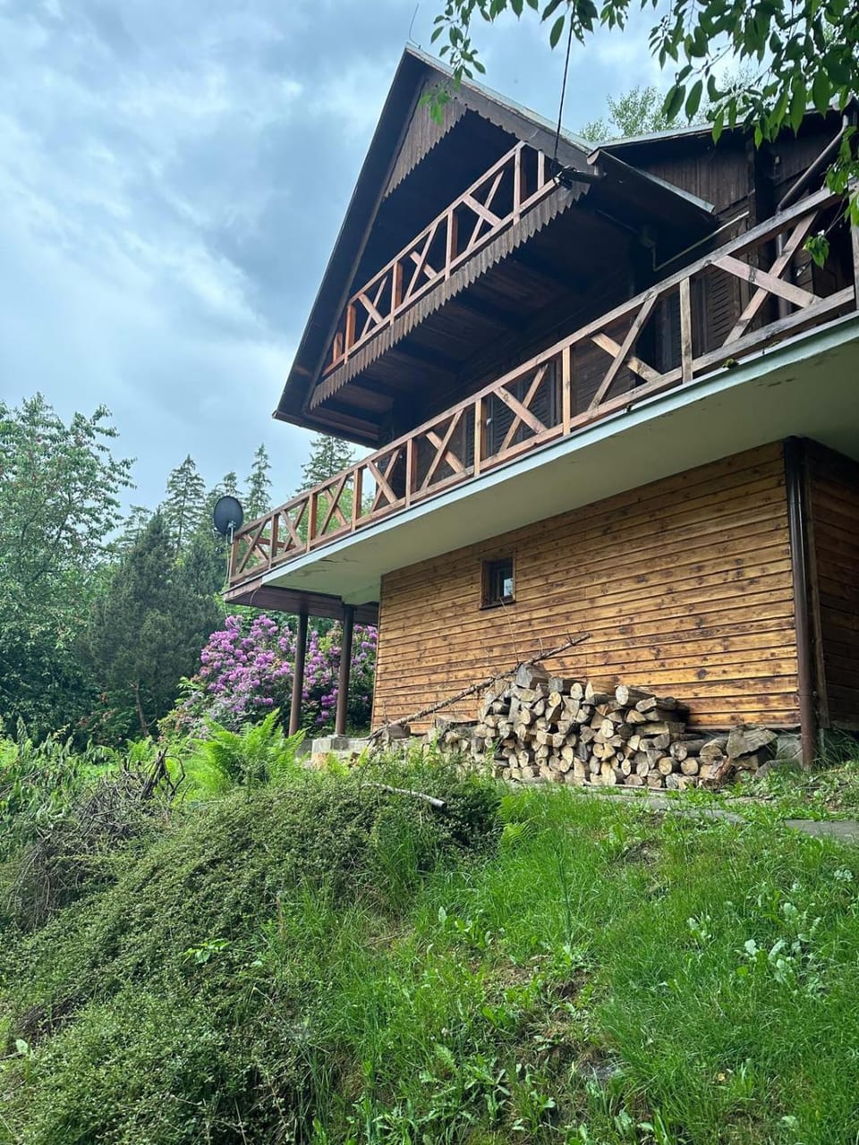 Property building, Day, Garden view