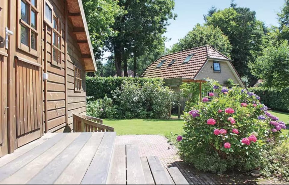 Property building, Garden view