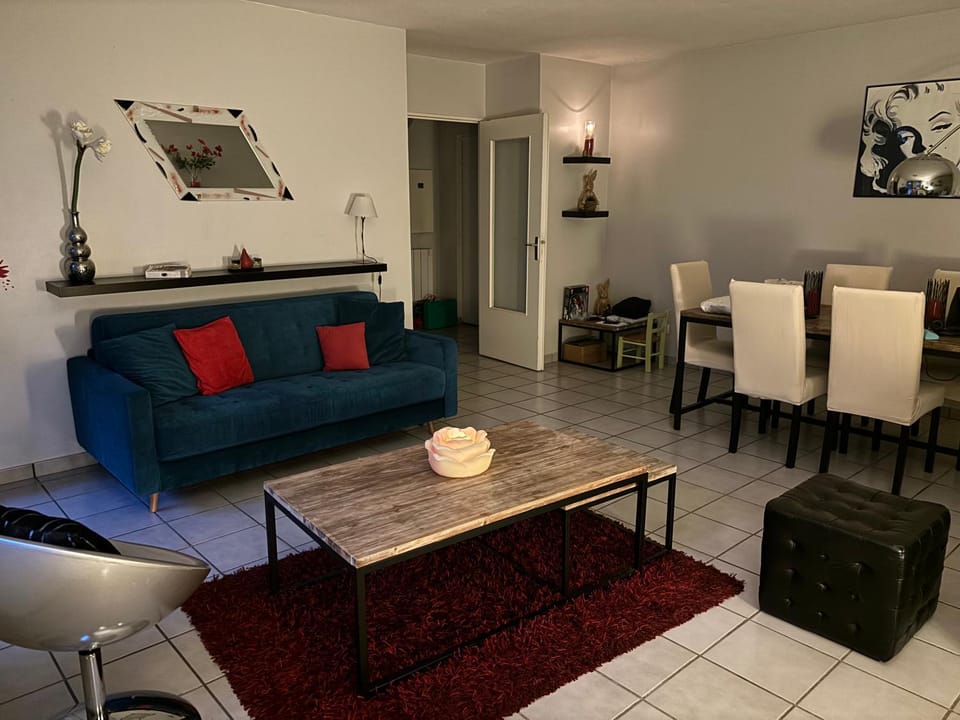 Breeze in the city Apartment in Villeurbanne