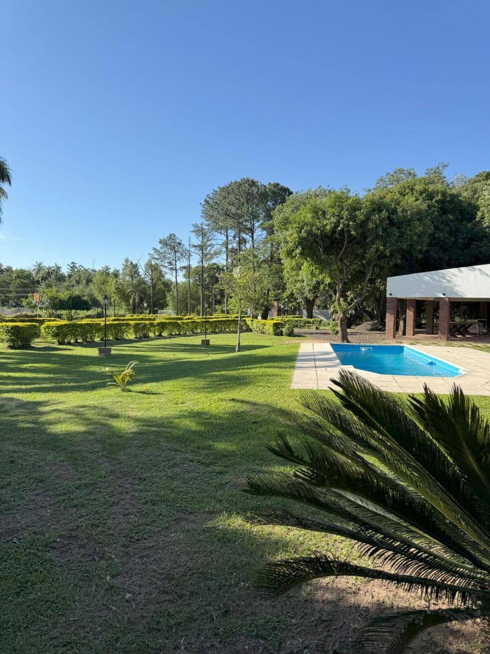 Natural landscape, Garden, Swimming pool, Swimming pool