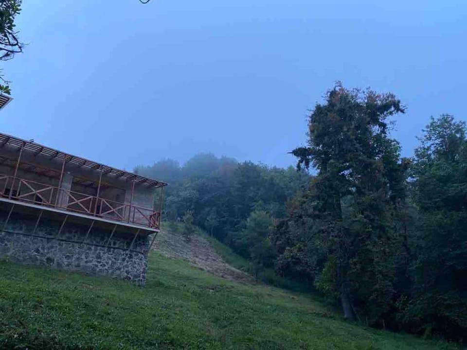 Natural landscape
