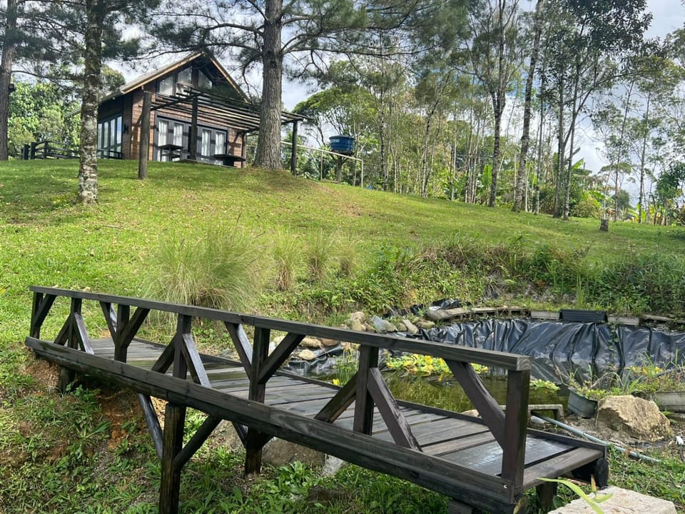 Property building, Garden, Garden view, Inner courtyard view