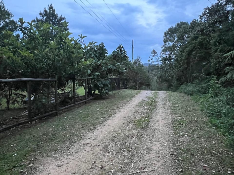 Cabana Trinca Ferro Nature lodge in State of Santa Catarina