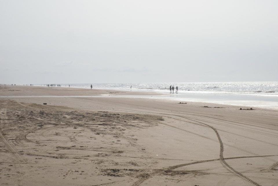 Day, Natural landscape, Beach