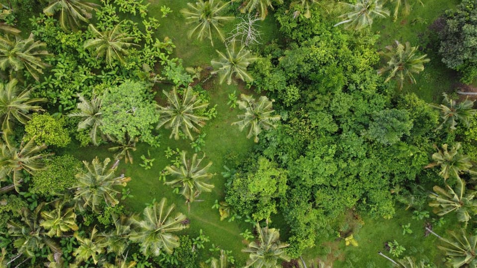 Meera house and stay Vacation rental in Pekutatan