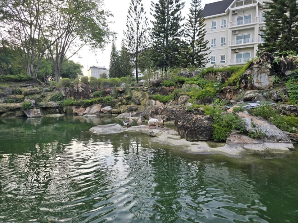 Lake view