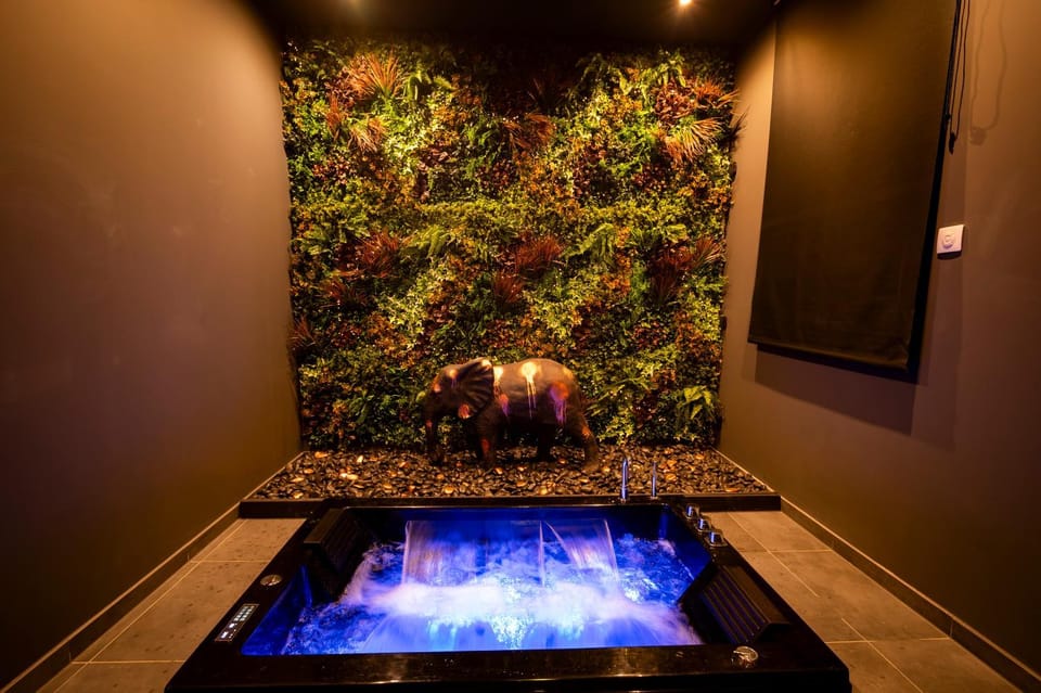 Spa Rust Room Apartment in Grand Est