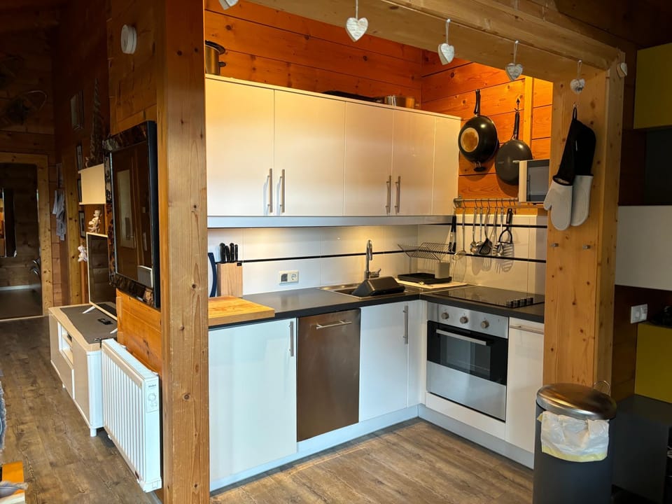 Kitchen or kitchenette, dishwasher, oven, stove, toaster