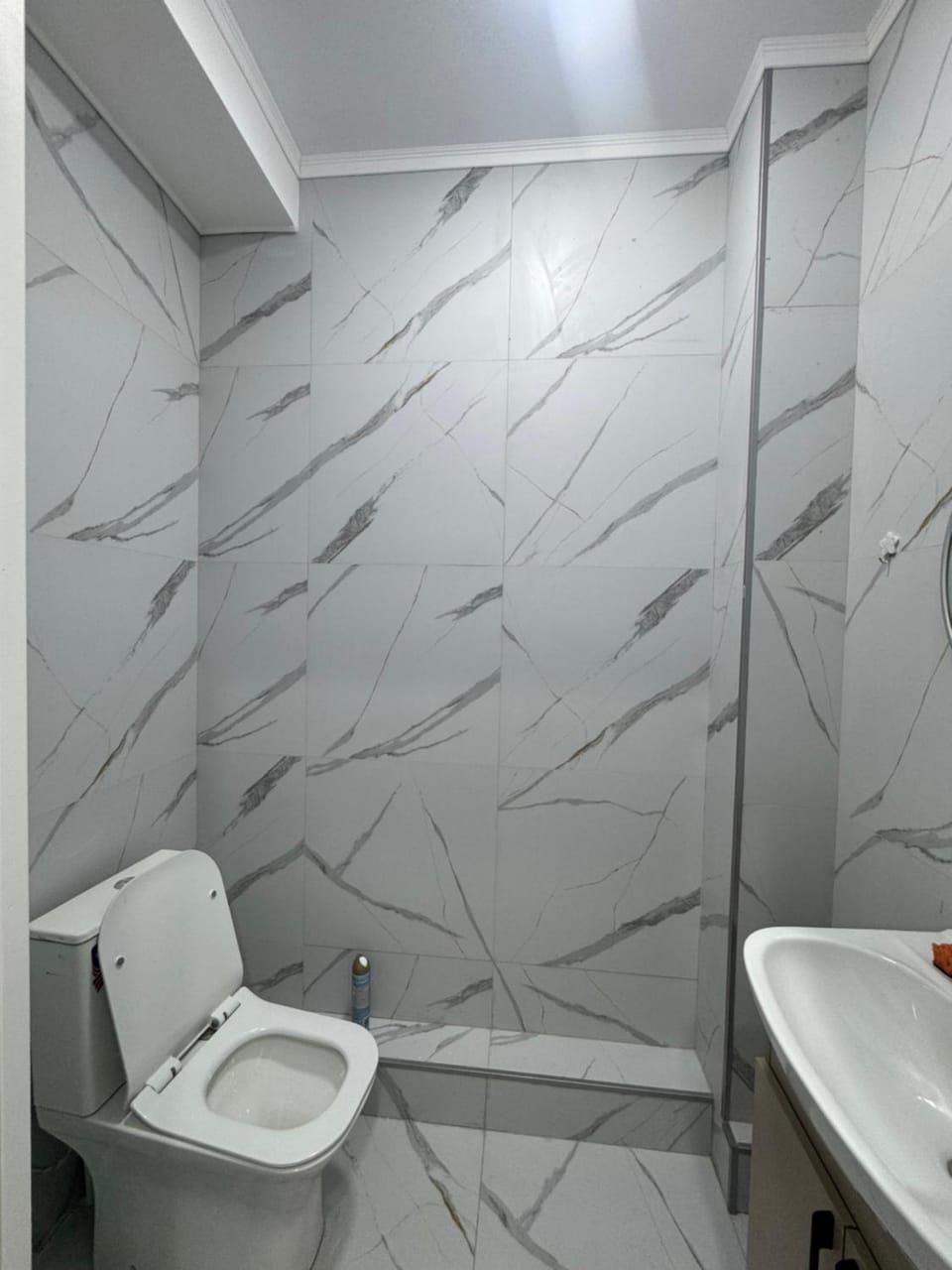 Cute Home Apartment in Almaty Region, Kazakhstan