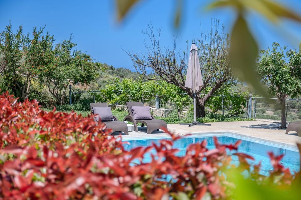 Day, Garden, Garden view, Pool view, Swimming pool, sunbed