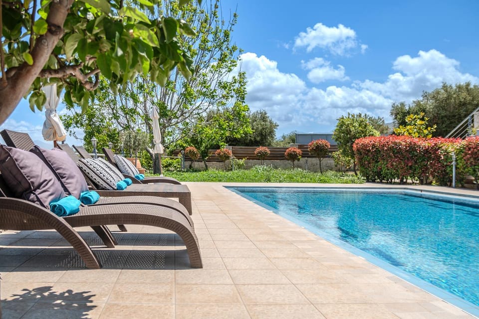 Day, Natural landscape, Garden, Garden view, Pool view, Swimming pool, sunbed