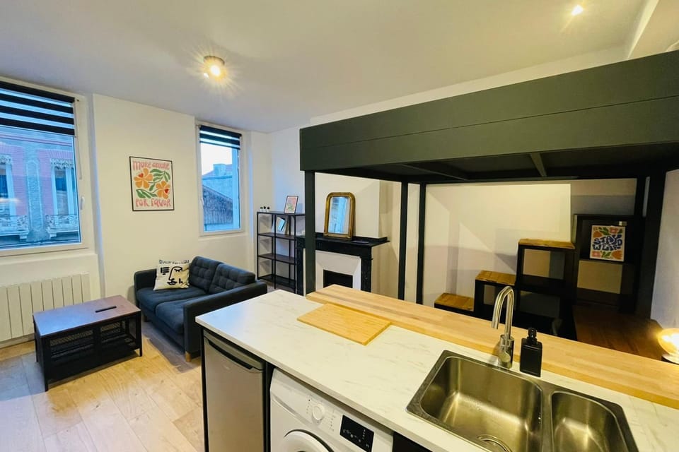 Charming T1 in the heart of Toulouse Apartment in Toulouse
