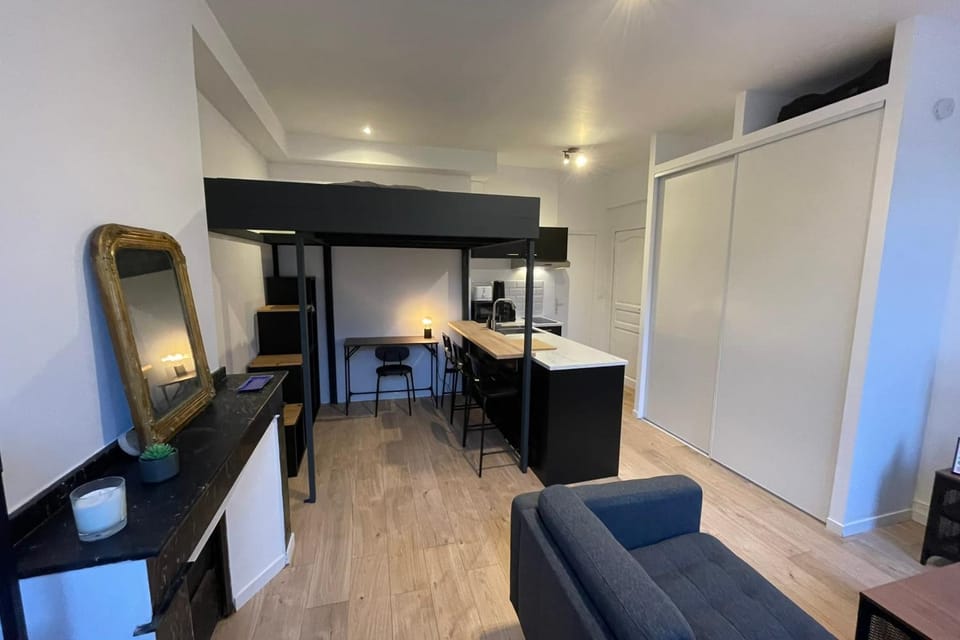 Charming T1 in the heart of Toulouse Apartment in Toulouse