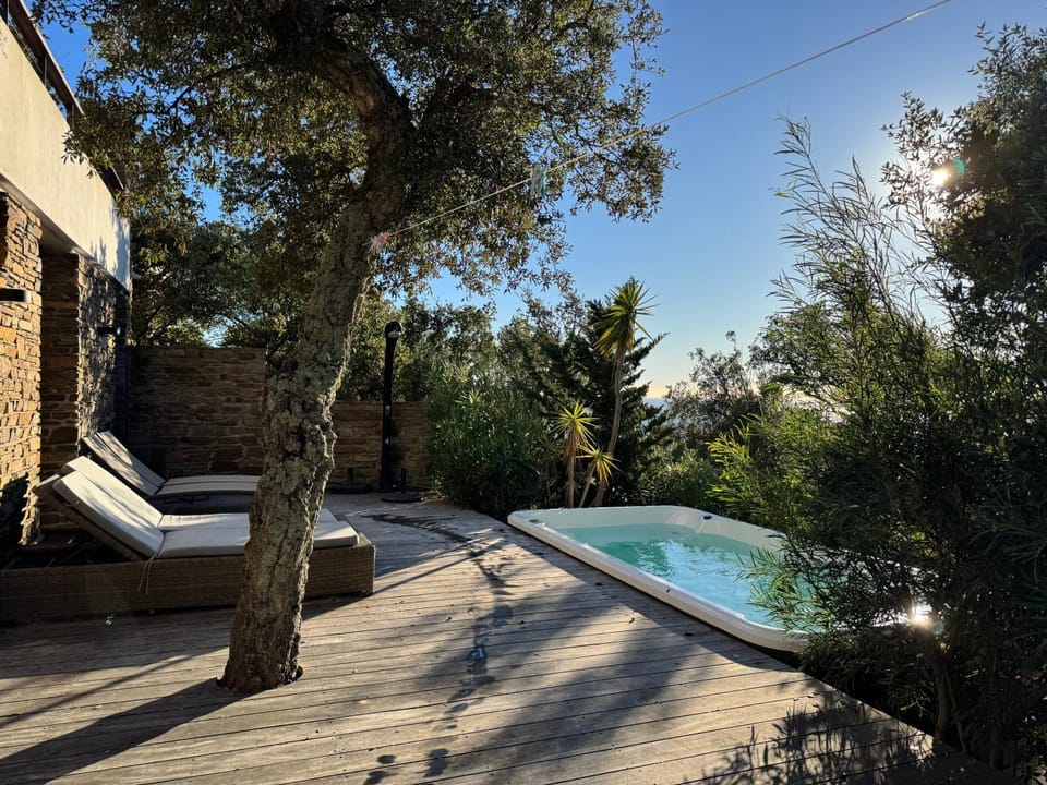 Day, Natural landscape, Garden, Swimming pool, sunbed