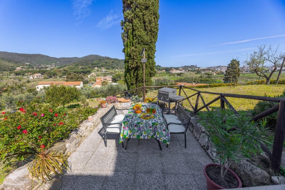 Patio, Spring, Natural landscape, Garden, View (from property/room), Dining area, Garden view