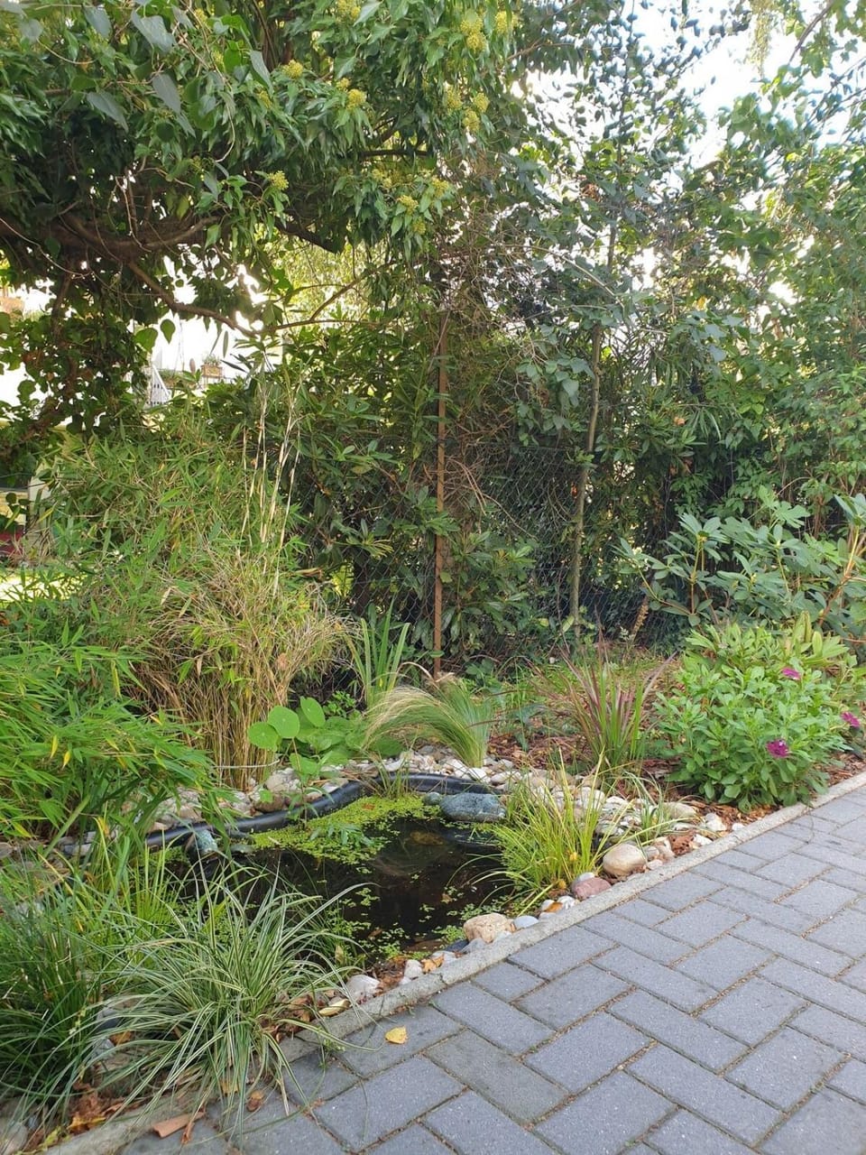Garden, Garden, Garden view