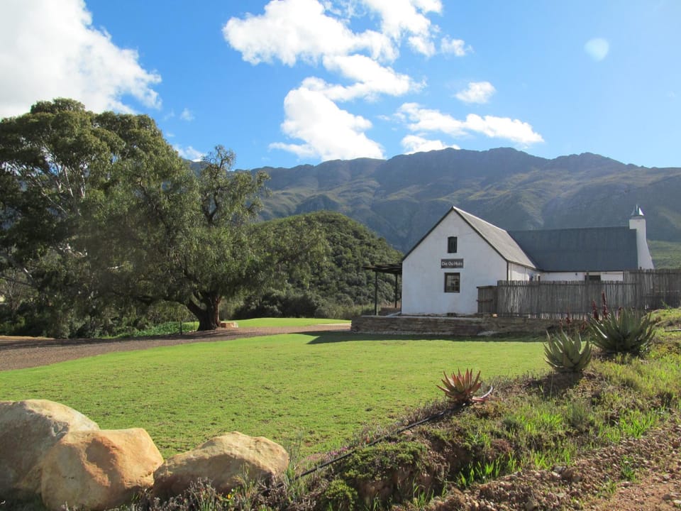 Bird's eye view, Summer, BBQ facilities, Garden, Hiking, Hiking, Cycling, Cycling, Garden view, Mountain view